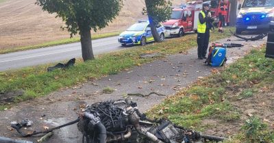Po uderzeniu Audi w drzewo silnik wypadł z auta